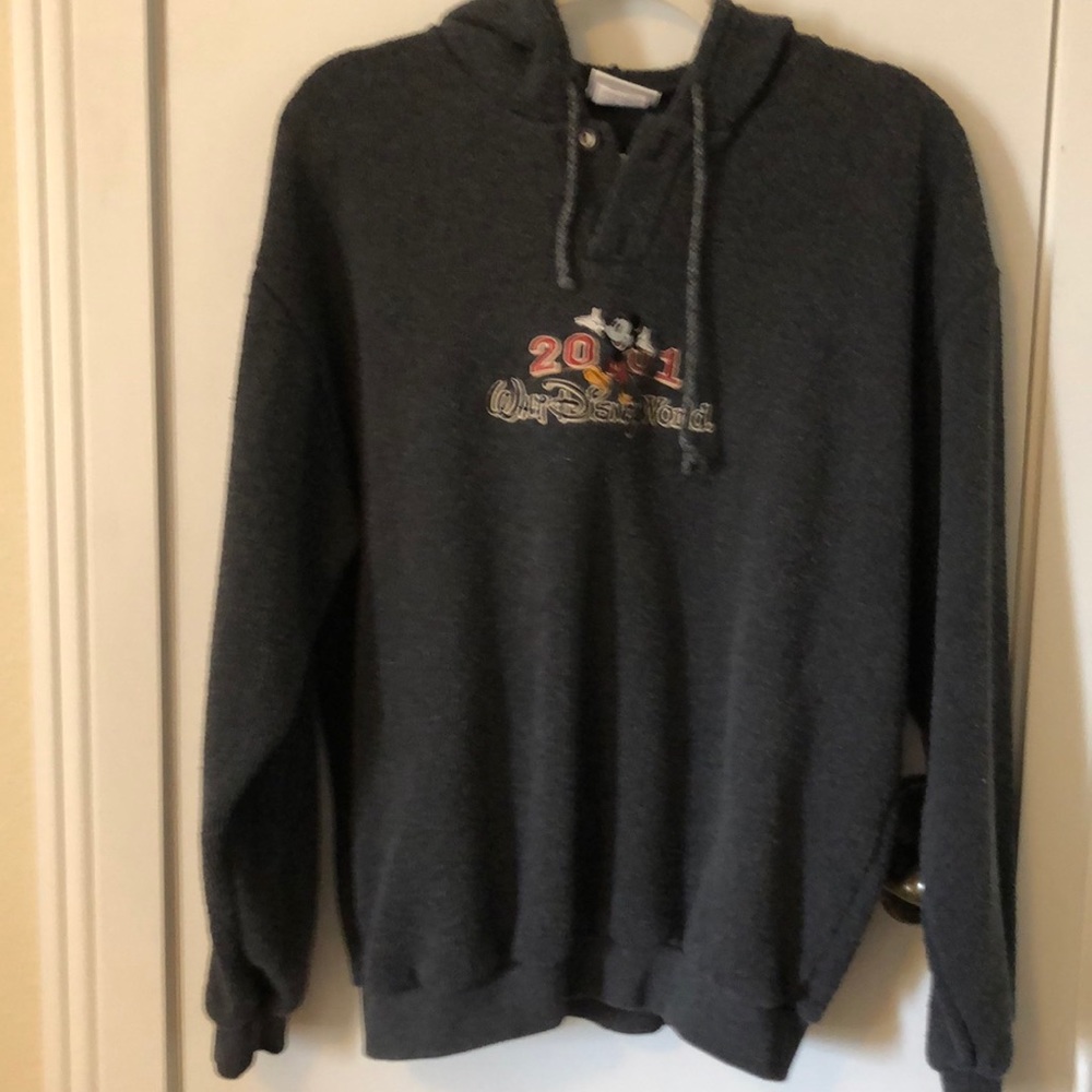 Walt Disney World grey hooded sweatshirt size Med. - Picture 1 of 6